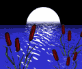 Moonrise_pond.gif (10825 bytes)